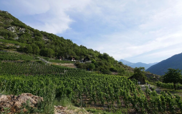 Hotel Alpenblick