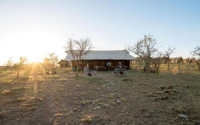 Serengeti Wildebeest Camp