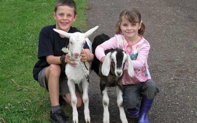 Honeycomb Valley Farm