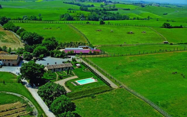 Agriturismo Allevamento Renaccino