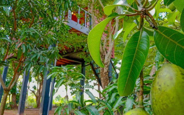 kumbura eco lodge