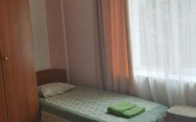 Дом Гостеев