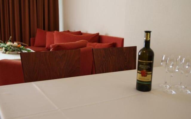 Hotel Plejsy