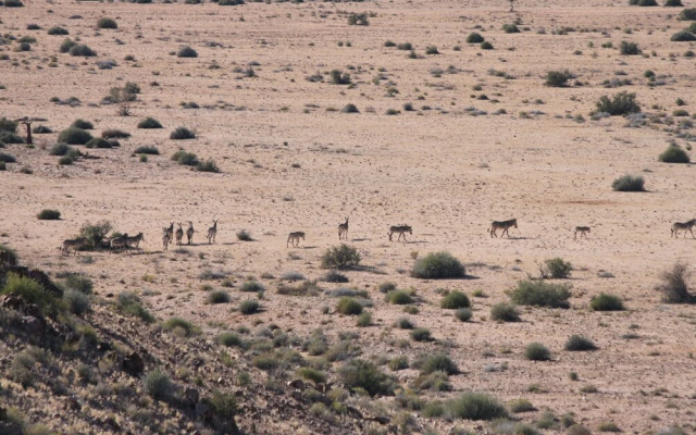 Sandfontein Lodge & Nature Reserve