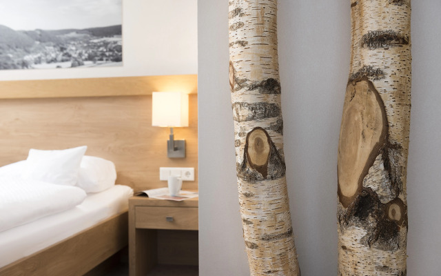 Best Western Plus Hotel Willingen
