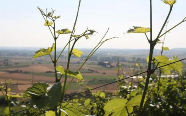 Schwarzer Adler Weingut