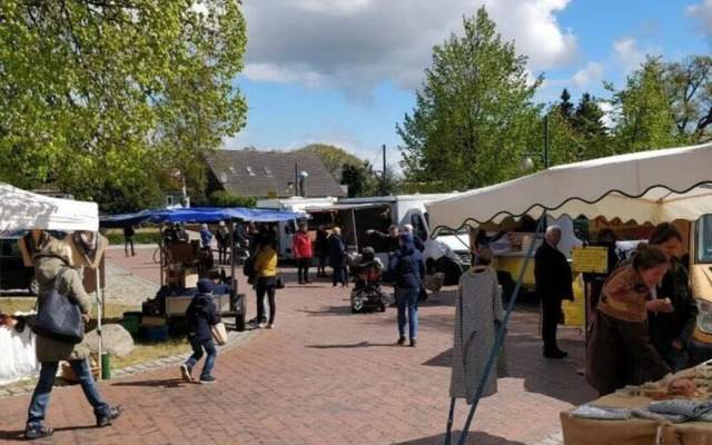 Captain House South Cats 8