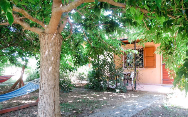 House Ovest Roccastrada