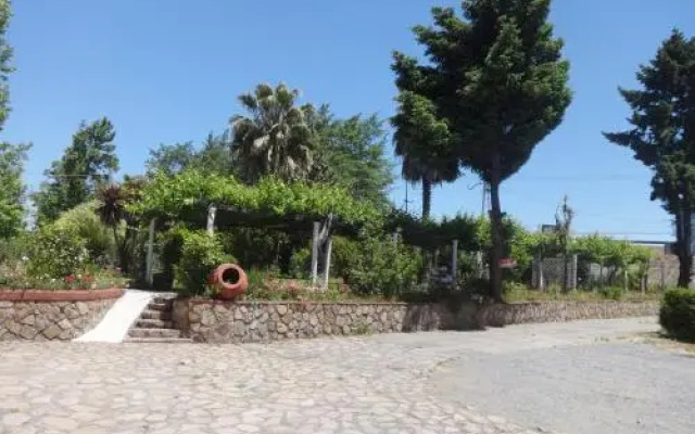 Hostal y Cabañas Los Viñedos