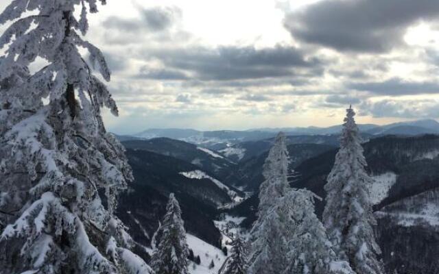 Schwarzwaldglück