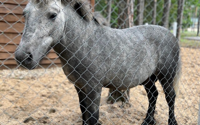 Ruzhanskij Sanatorium