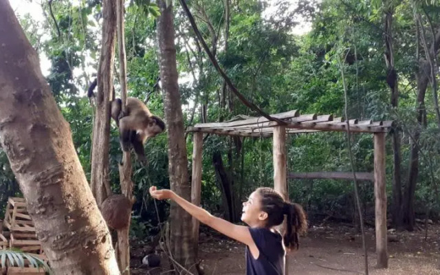 Domus Hotel Palmeiras - Canaã dos Carajás