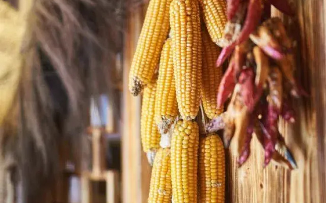 Linxi Xiaoyin Homestay