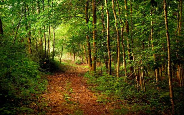 Westfields Marriott Washington Dulles