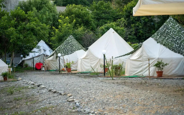 KiwiTravel (Киви Тревел)