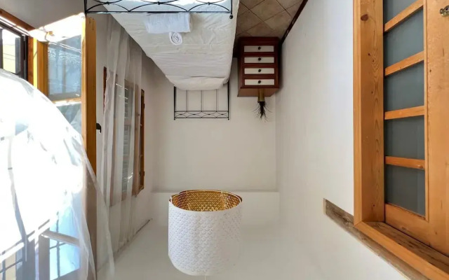 Faenza 65 in Firenze