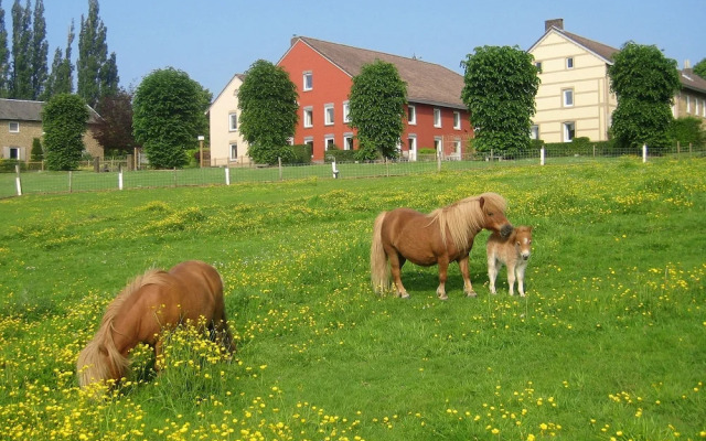 Bungalowpark Landsrade Gulpen
