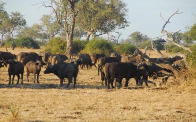 Zikomo Safari Camp