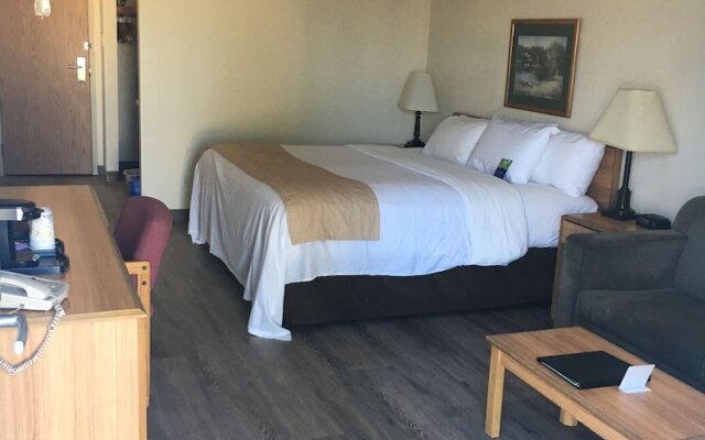 Lakeview Inn & Suites - Edson East