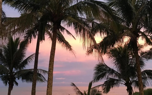 Coconut Beach Homestay