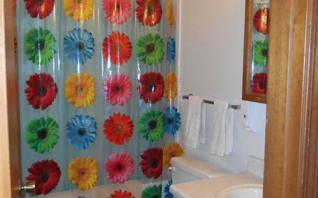 Alaska's Point of View