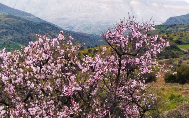 Secret Villa - Kato Saktouria