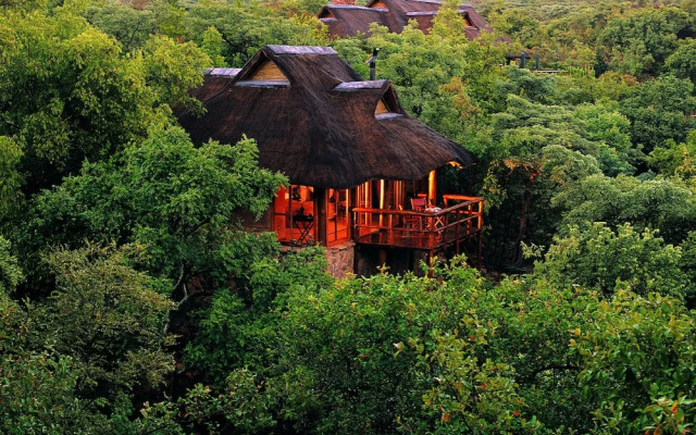 Makweti Safari Lodge