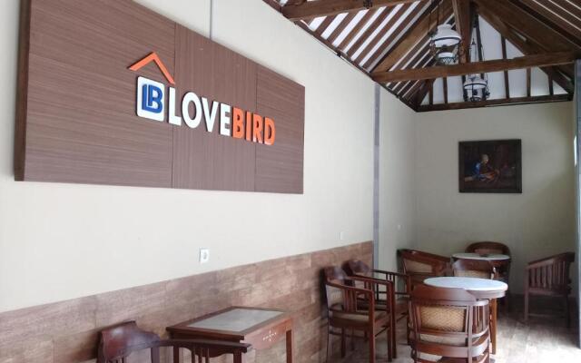 Wisma Lovebird