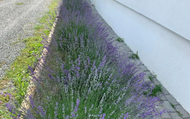 Pensiunea Salina Gymnasium
