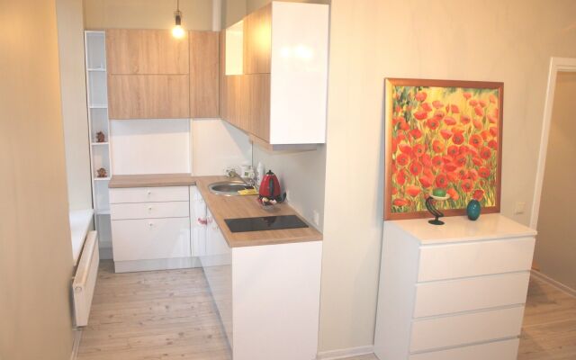 IGo apartment Uzupis