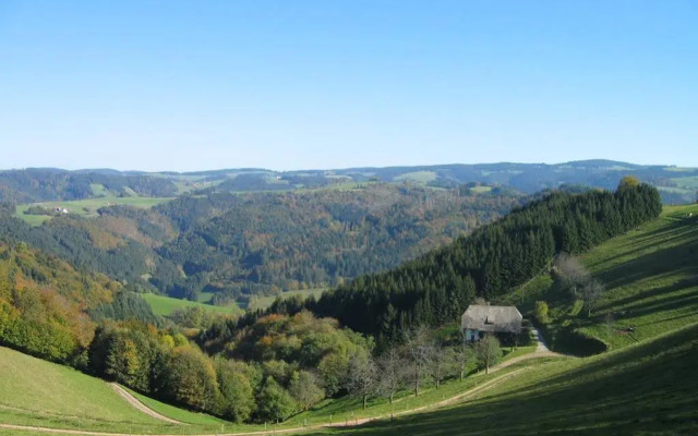 Hotel Schwarzwaldgasthof Zur Traube