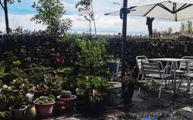 Qinmo Homestay