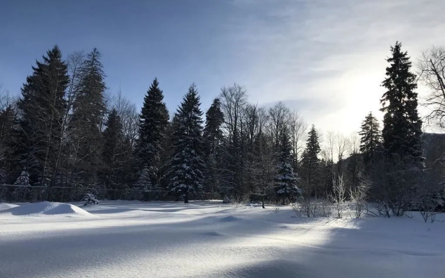 Bakuriani Resorts Hotel