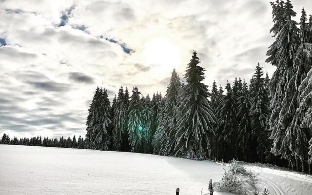 Rennsteighotel Grüner Baum