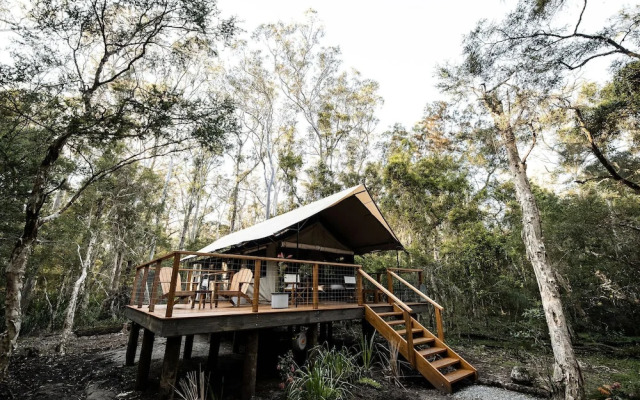 Paperbark Camp