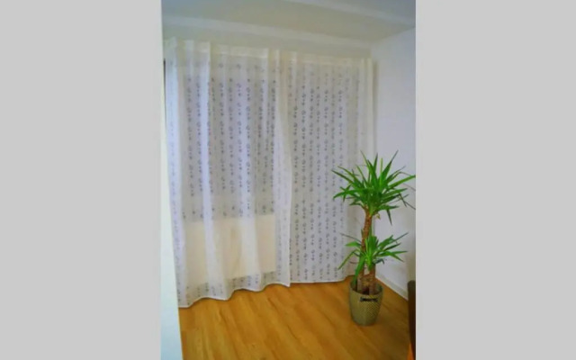 Zentrum Speyer Premium-Apartment