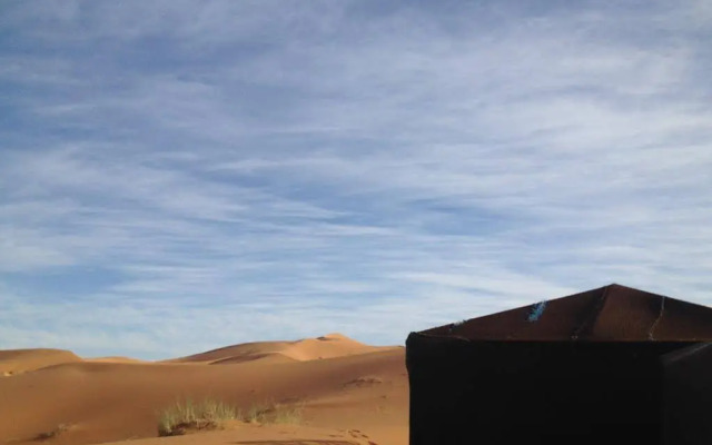Camels House