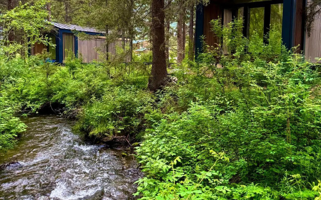 Зелёный колобок