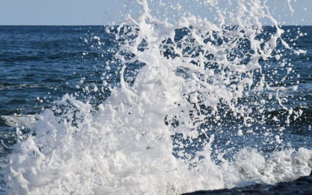 Ivy Lodge Bed & Breakfast