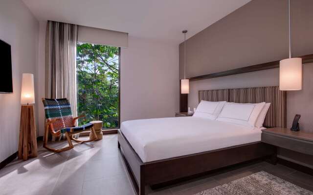 Botanika Osa Peninsula, Curio Collection by Hilton