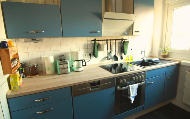 Whg./flat am Großen Garten in Dresden