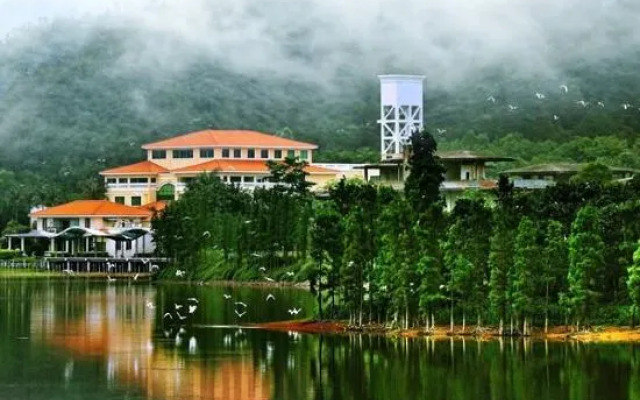Xinglun International Apartment (Foshan Meidi Wuhu Shop)