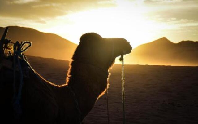 Zagora Desert Camp