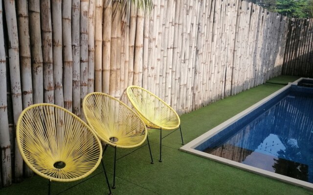 Treetop Suites