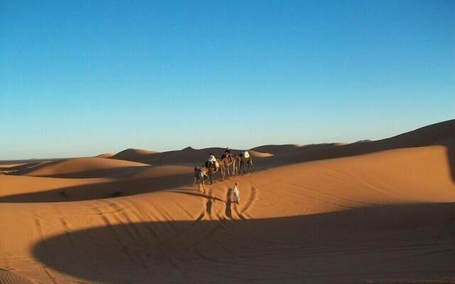 Bedouin Tent Merzouga