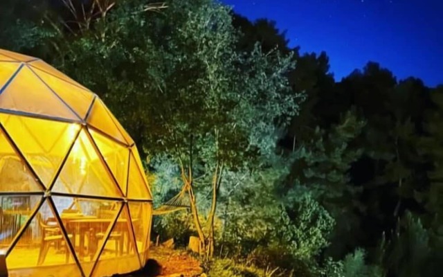 Evergreen Glamping