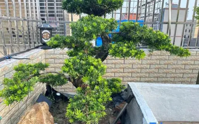 Chaozhou Niandao Accommodation
