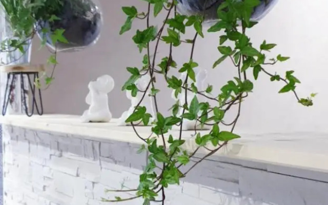 Studio zen et cosy, neuf en pleine ville