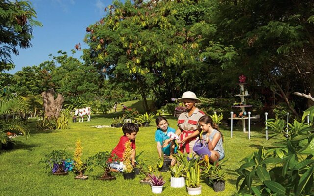 Now Garden Punta Cana All Inclusive