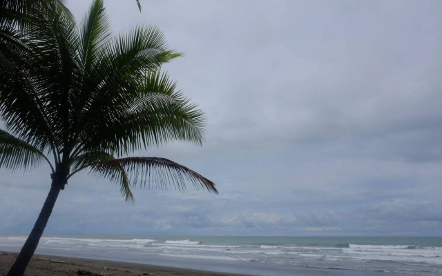 La Palapa Eco Lodge Resort